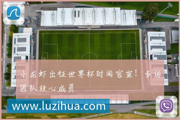 小龙虾出征世界杯时间官宣!专访团队核心成员